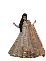 Embroidered Bridal Lehenga Set with Net Dupatta